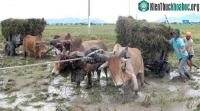 Ảnh Trung bộ khắc phục lũ, miền Bắc đón đợt lạnh mới