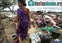 Ảnh Số thương vong lên tới hơn 700 người