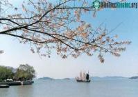 Ảnh Thả cá chống ô nhiễm nước tại Trung Quốc