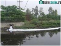 Ảnh TP.HCM: Ô nhiễm đe dọa nguồn nước máy