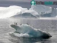 Ảnh Khi băng ở Greenland tan...