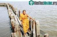 Ảnh Thuỷ triều dâng đe doạ 21 đại thành phố