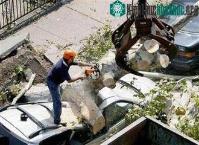 Ảnh Bão gây rối loạn New York