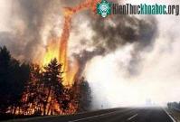Ảnh 500 người chết vì nắng nóng ở Hungary