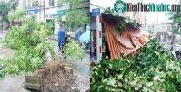 Ảnh TP.HCM: Mưa lốc, đổ cây, ngập đường, cháy thiết bị điện