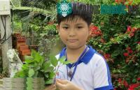 Ảnh Nhà sáng chế tí hon, thất bại ba lần trước khi chế thành công máy diệt ruồi