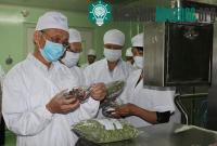 Ảnh Bảo quản nông sản bằng "lai ghép" công nghệ sấy