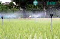 Ảnh Công nghệ tưới tiết kiệm - Giải pháp căn cơ ứng phó hạn hán