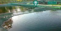 Ảnh Cách chống rét cho cá giống, tôm giống