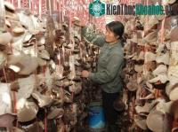 Ảnh Ứng dụng công nghệ di động giúp tăng 30% năng suất trồng nấm