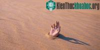 Ảnh Cách thoát khỏi cát lún