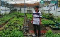 Ảnh Hệ thống tưới rau qua điện thoại di động độc nhất ở Việt Nam