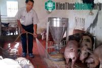Ảnh Nhà sáng chế nuôi lợn bằng thức ăn sinh học có thảo dược