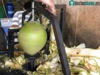 Ảnh Chàng miệt vườn chế máy "siêu" gọt dừa