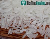 Ảnh Nhật Bản chuyển giao công nghệ chế biến gạo cho Việt Nam