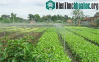Ảnh Công nghệ tưới phun mưa dùng năng lượng Mặt Trời
