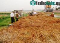 Ảnh Xử lý ô nhiễm nông thôn bằng chế phẩm sinh học