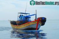 Ảnh Giải pháp xử lý nước đáy tàu nhiễm dầu hiệu quả