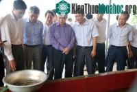 Ảnh Sinh sản nhân tạo giống cá lăng chấm, cá anh vũ