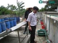 Ảnh Sản xuất nước mắm bằng năng lượng mặt trời