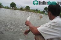 Ảnh Hệ thống tách chất thải ao nuôi cá tra công nghiệp