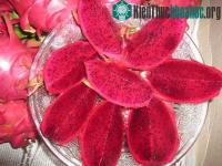 Ảnh Tạo nhiều giống cây mới sản xuất đại trà ở phía Nam
