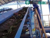 Ảnh Dùng công nghệ VIBIO biến rác thành phân vi sinh