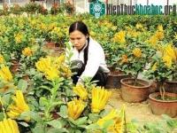 Ảnh Ghép thành công phật thủ cảnh hình bàn tay Phật