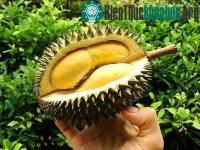 Ảnh Bột vỏ sầu riêng sẽ giúp thu hồi dầu tràn ven biển