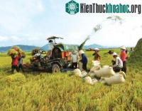 Ảnh Ứng dụng công nghệ sinh học trong nông nghiệp
