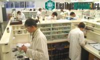 Ảnh Đầu tư mạnh ứng dụng khoa học vào nông nghiệp