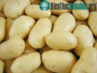 Ảnh Bảo quản khoai tây bằng cát khô