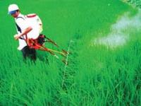 Ảnh Nông dân chế tạo bộ phụ kiện phun thuốc đa năng
