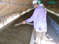 Ảnh Chế phẩm sinh học từ trùn quế