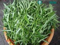 Ảnh Bảo quản rau muống tươi cả tháng