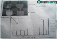 Ảnh Xử lý ô nhiễm phóng xạ urani bằng vi khuẩn