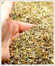 Ảnh Chế tạo chất cách nhiệt từ trấu