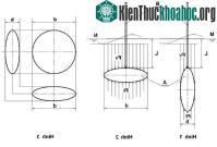 Ảnh Định luật Acsimet liệu có đúng?