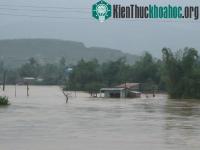 Ảnh Nền nhà cho người dân vùng lũ, lụt