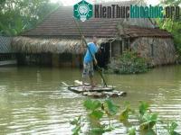 Ảnh Giải pháp khắc phục tình trạng "sống chung với lũ"
