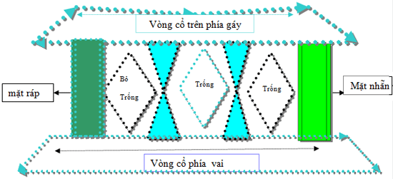 Ảnh Gối dành cho bệnh nhân bị thoái hóa đốt sống cổ
