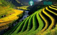 Ảnh 25 bức ảnh về Việt Nam đẹp "không cưỡng nổi"