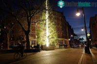 Ảnh Những cây thông Noel “độc” nhất Giáng sinh 2016
