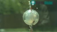 Ảnh Video: Vụ nổ dưới nước tạo cầu lửa sáng chói
