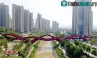 Ảnh Cầu đi bộ ngoằn ngoèo như mê cung ở Trung Quốc