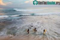 Ảnh Các bức ảnh về biển ấn tượng trong Ngày Đại dương Thế giới