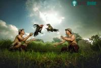 Ảnh Ngỡ ngàng với bộ ảnh đồng quê Malaysia tuyệt đẹp đậm chất Việt Nam