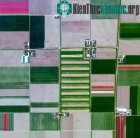 Ảnh Hình ảnh đẹp lạ thường của trái đất nhìn từ không gian