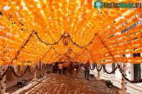 Ảnh Độc đáo con đường phủ đầy hoa giấy ở Bồ Đào Nha