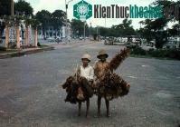 Ảnh Chùm ảnh màu đặc sắc về trẻ em miền Nam, Trung trước 1975